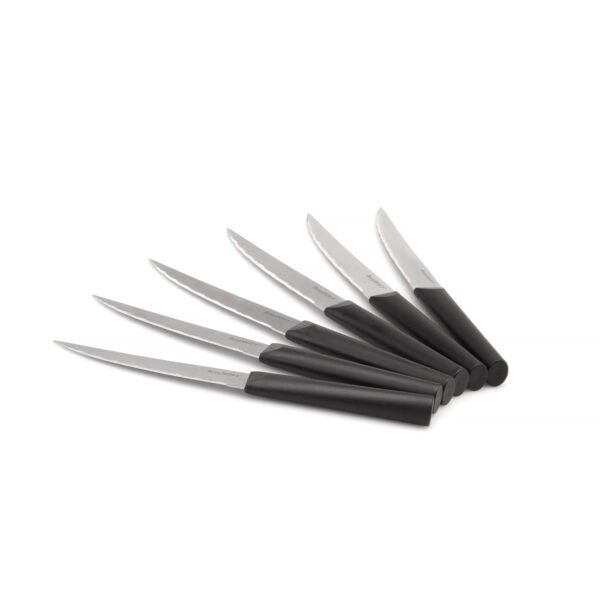 6-pc steak knife set Matrix